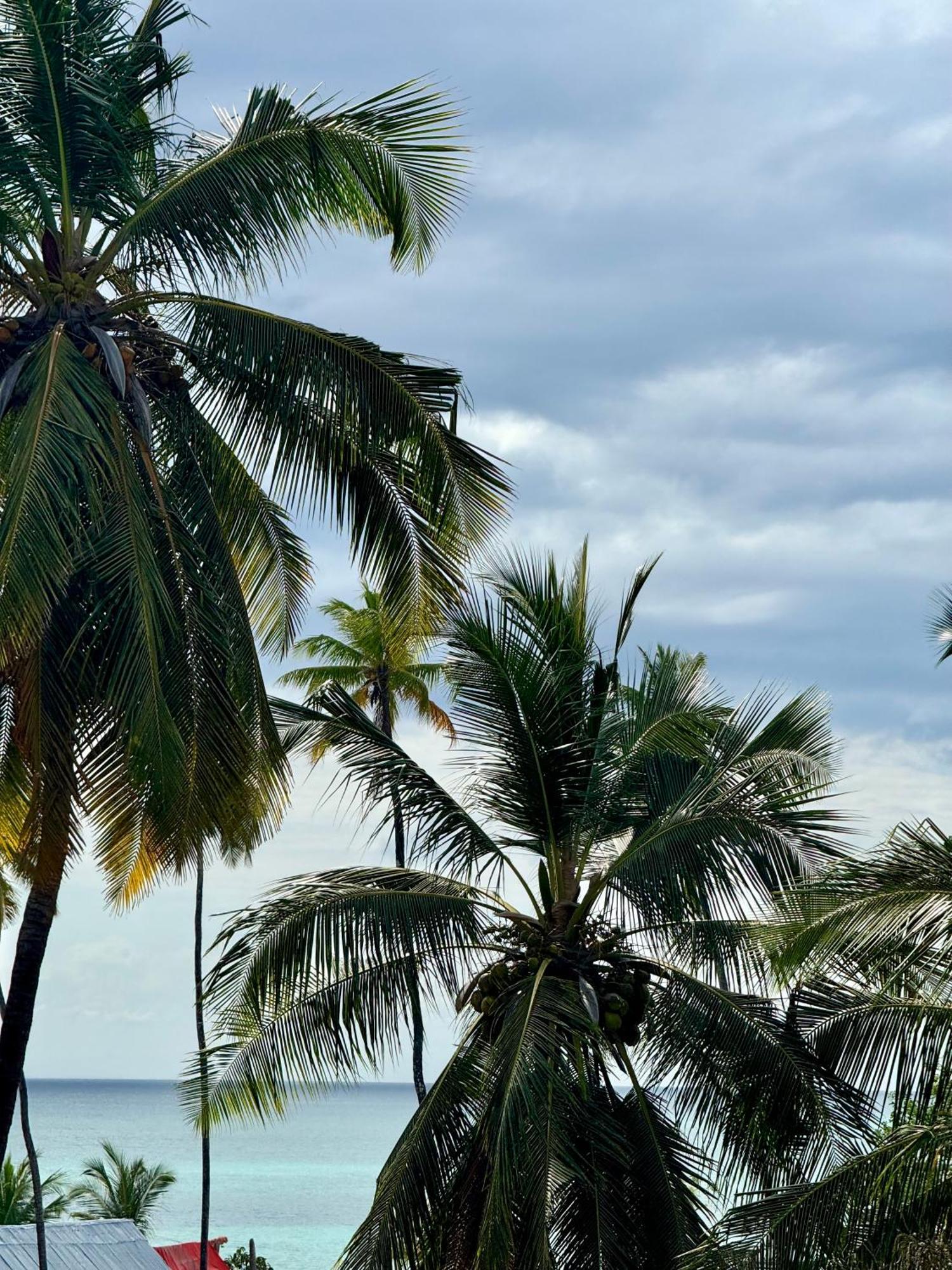 Rafiki Hotel Nungwi Beach Eksteriør billede